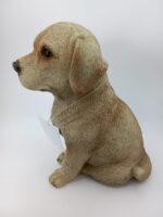 Brown sitting dog