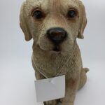 Brown sitting dog