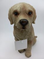 Brown sitting dog
