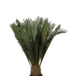 Real-Touch Artificial Sago Palm Plant